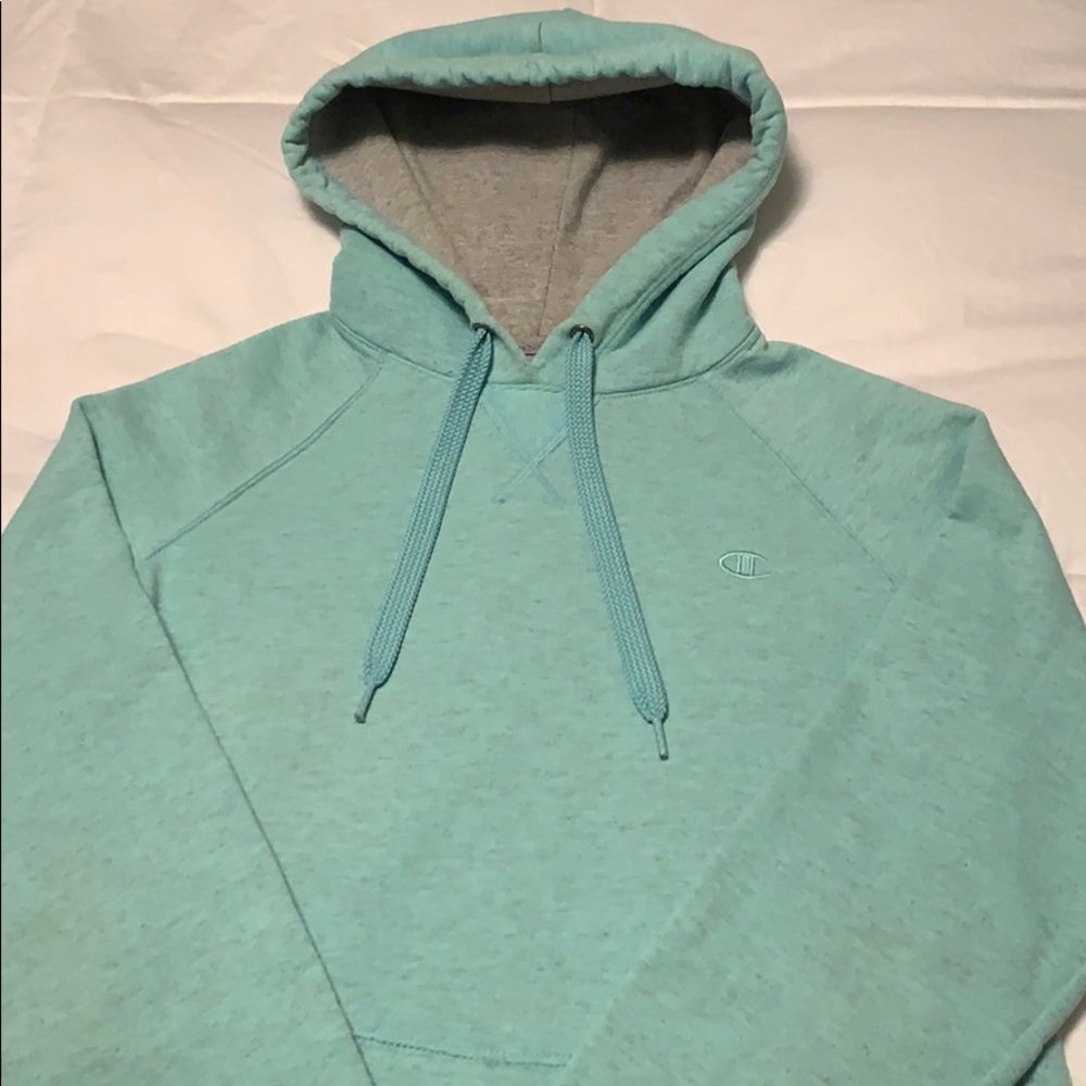 Champion brand heavyweight pull over